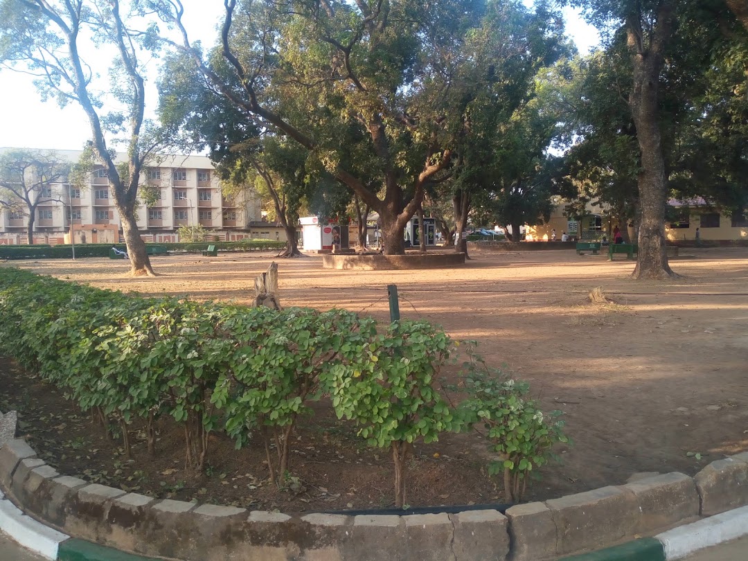 Love Garden