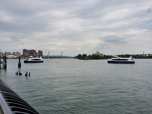 Park «Carl Schurz Park», reviews and photos, East 86th Street & East End Ave, New York, NY 10028, USA