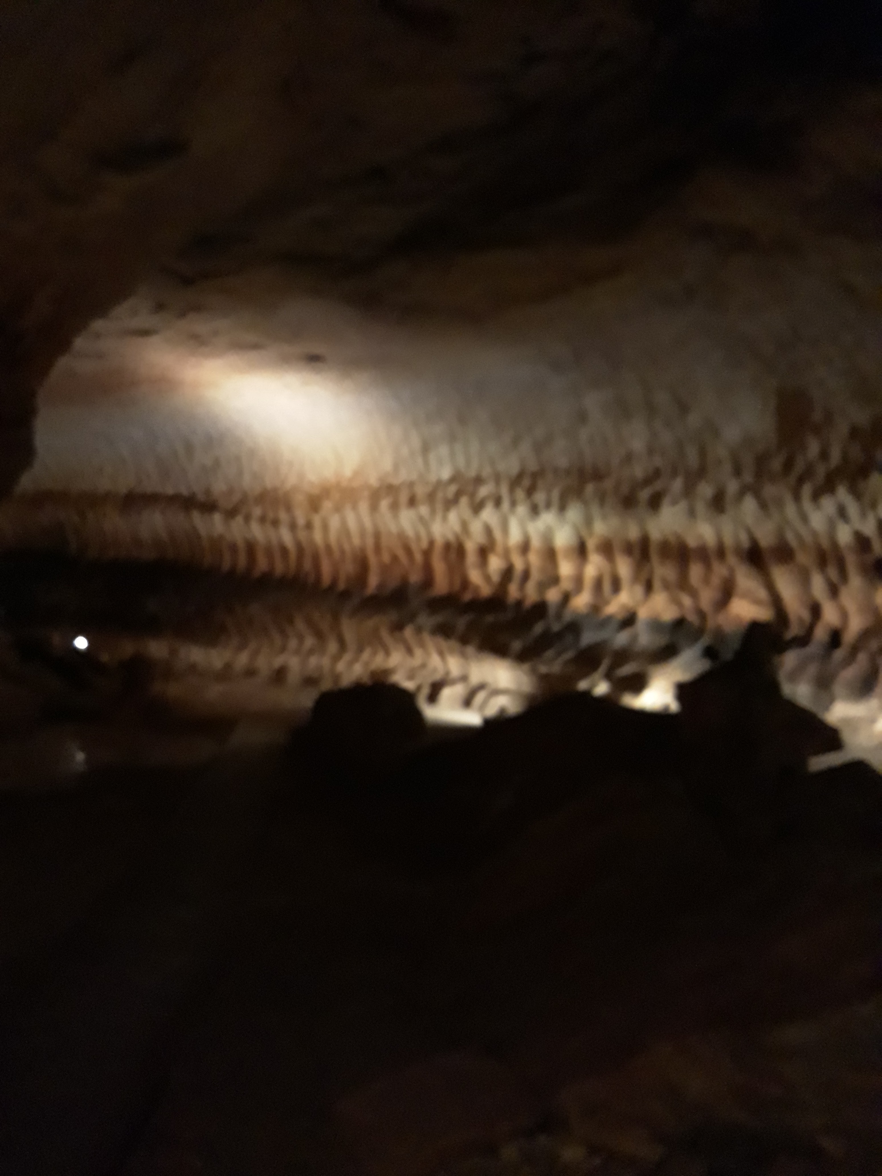 Photo n° 2 de l'avis de magali.R fait le 08/05/2019 à 14:36