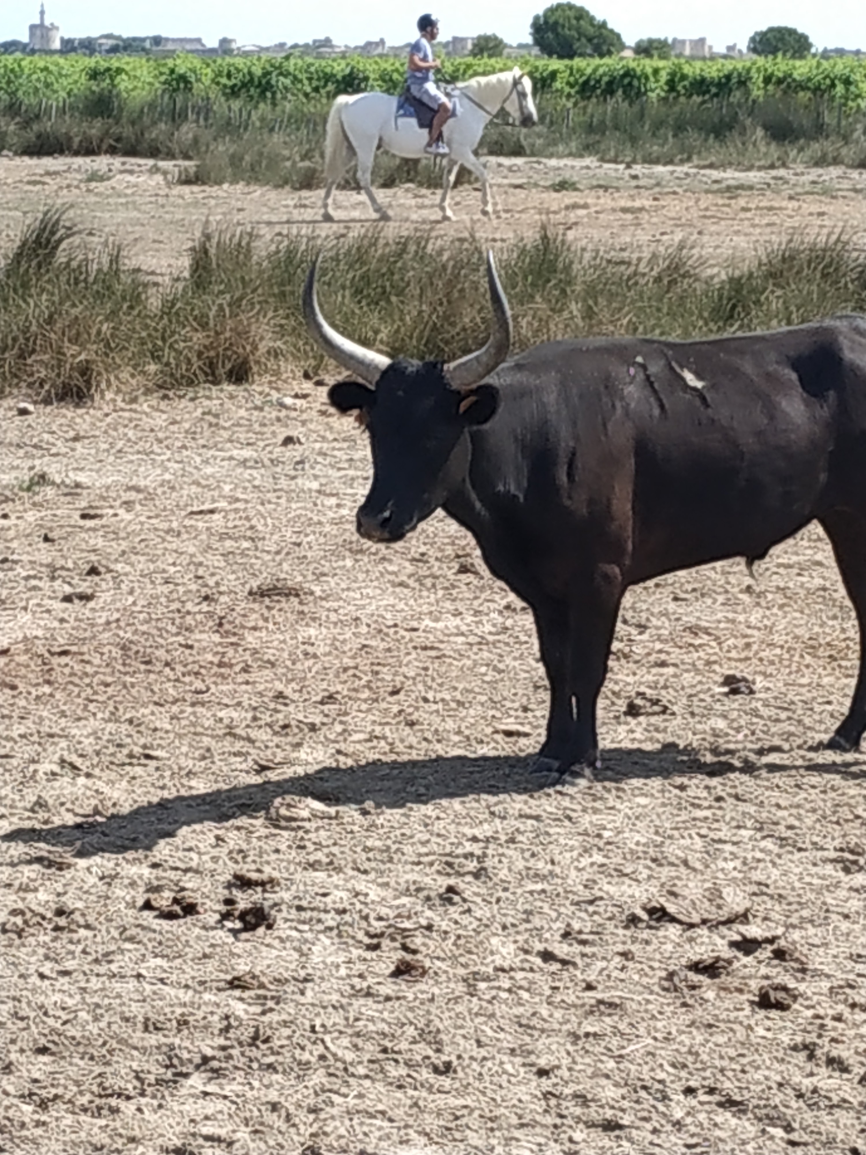 Photo n° 6 de l'avis de Dav.2 fait le 21/08/2019 à 12:06