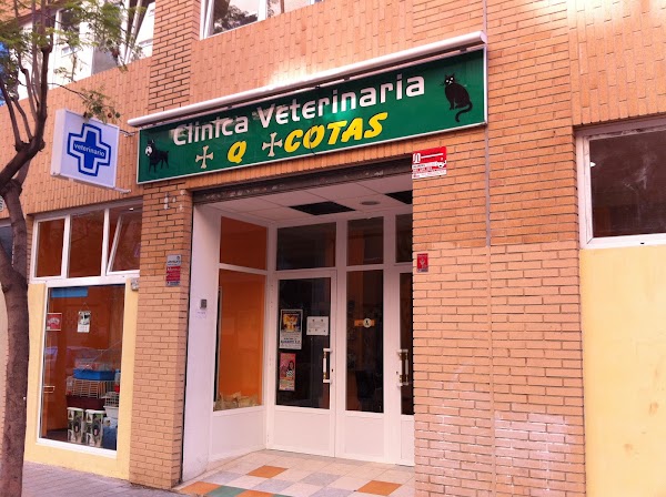 Clínica Veterinaria Más que Mascotas