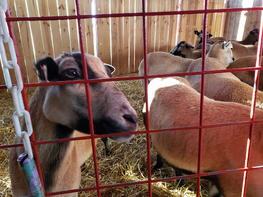 Produce Market «Didier Farms», reviews and photos, 16678 Aptakisic Rd, Lincolnshire, IL 60069, USA