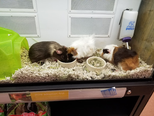 Pet Supply Store «Petco Animal Supplies», reviews and photos, 35860 Chester Rd, Avon, OH 44011, USA