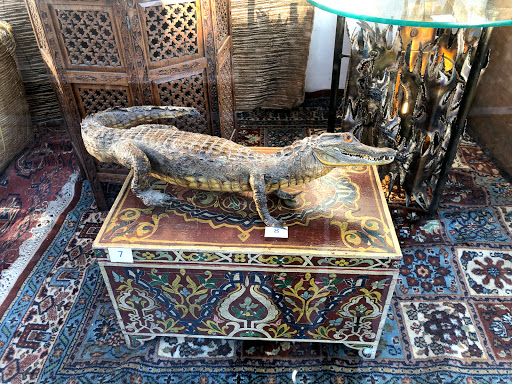 Thrift Store «Boomerangs Jamaica Plain», reviews and photos, 716 Centre St, Jamaica Plain, MA 02130, USA