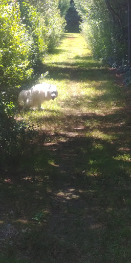 Park «Forge Pond Park», reviews and photos, 245 King St, Hanover, MA 02339, USA