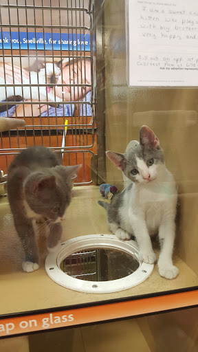 Pet Supply Store «PetSmart», reviews and photos, 1929 Scenic Hwy N, Snellville, GA 30078, USA