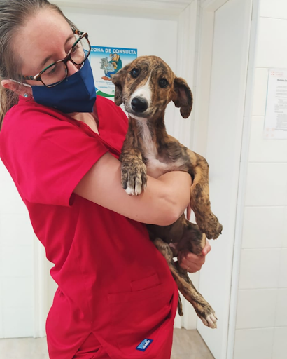 Centro Veterinario El Verger en El Verger