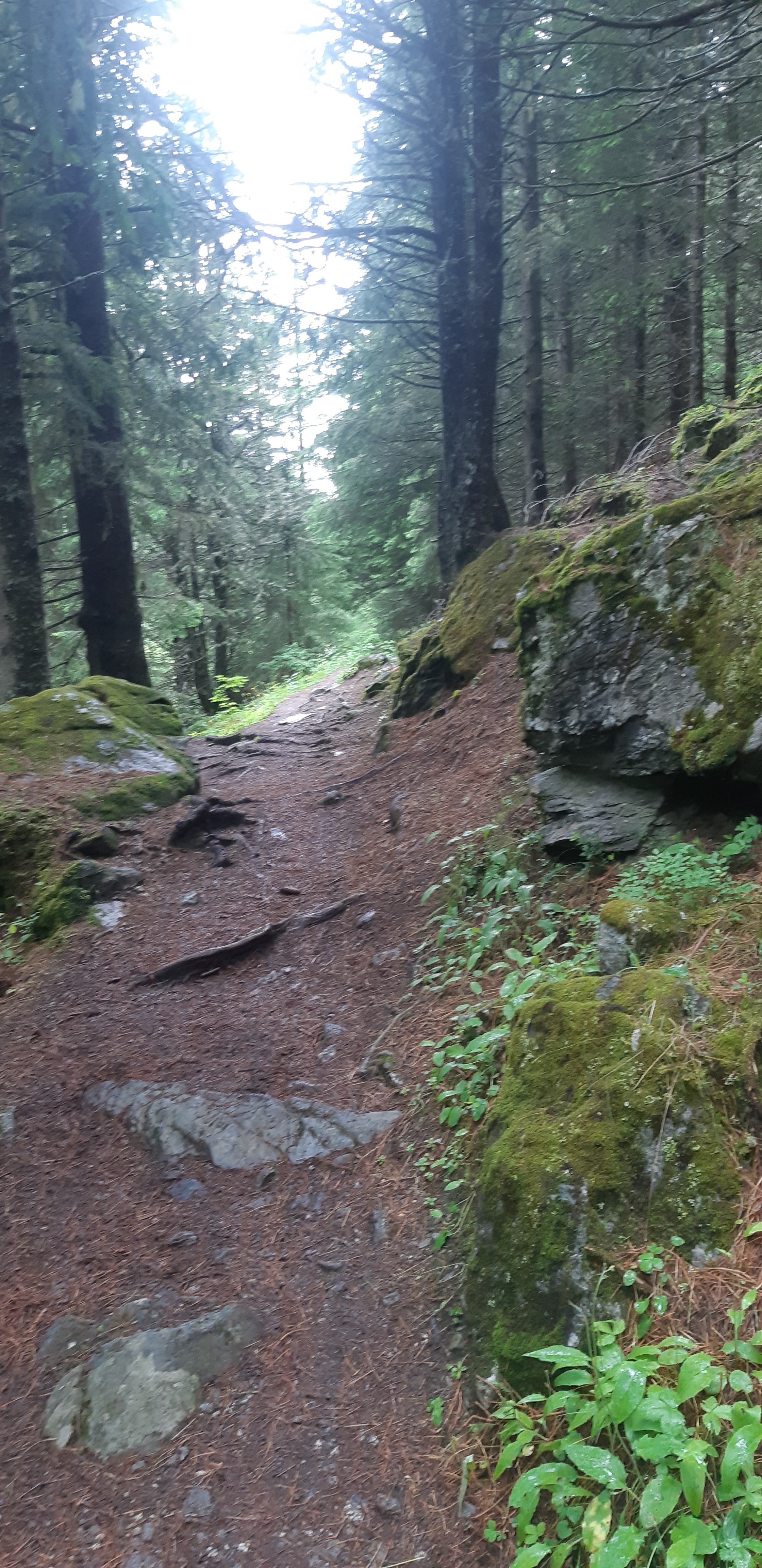 Photo n° 15 de l'avis de Yannick.a fait le 17/07/2021 à 19:29