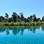 Photo n°1 de l'avis de Olga.u fait le 06/07/2022 à 14:44 sur le  Torre de Gomariz Wine & Spa Hotel à Cervães