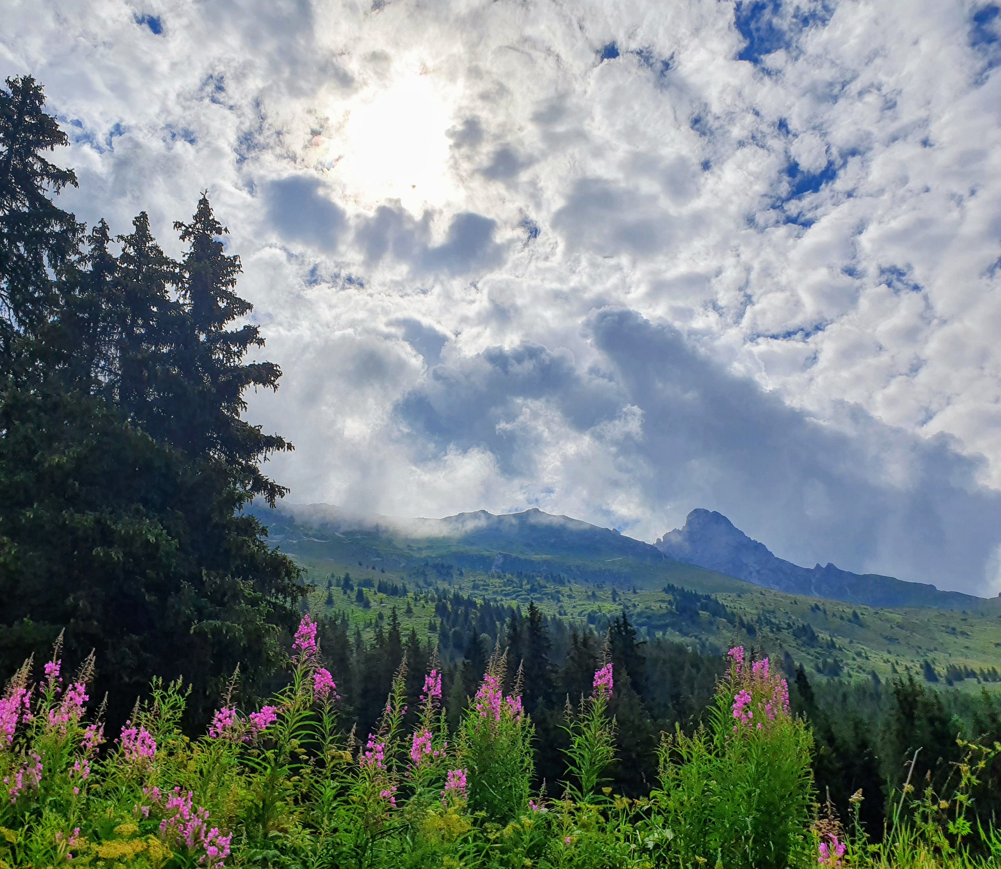 Photo n° 5 de l'avis de Marlène.o fait le 09/08/2020 à 16:18