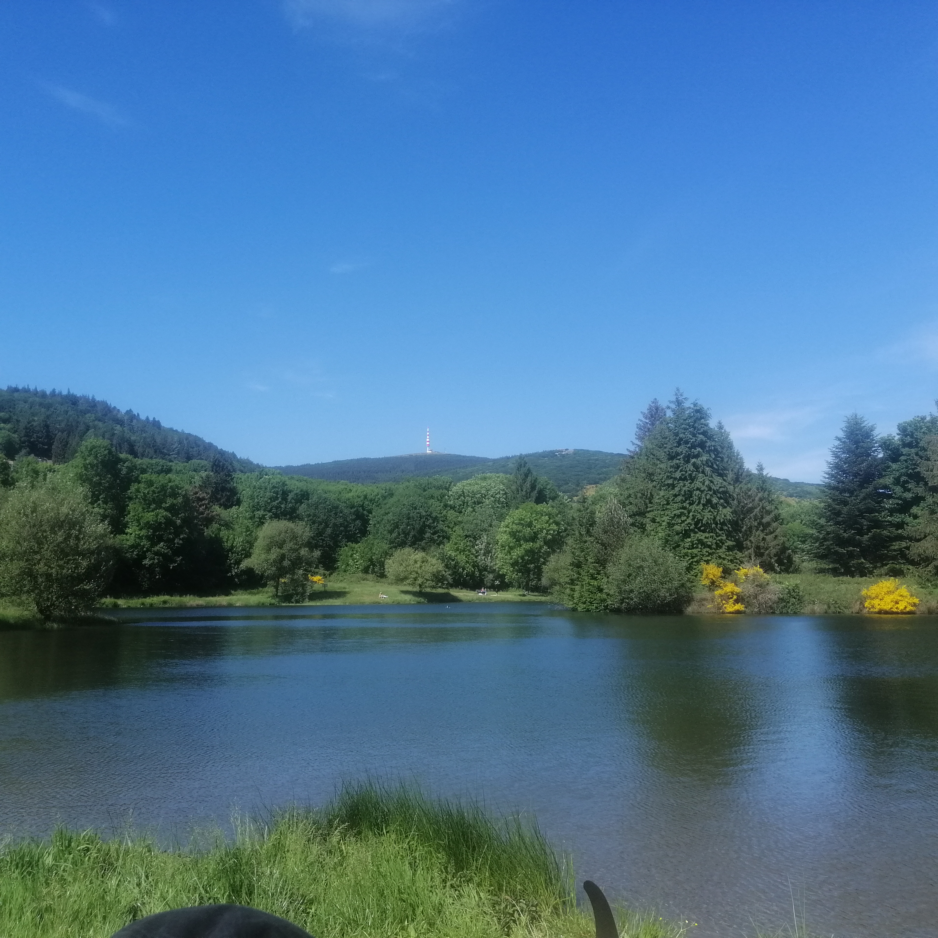Photo n° 1 de l'avis de Pesnia.a fait le 28/05/2022 à 16:13