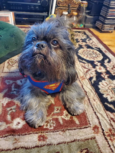 Pet Supply Store «PetSmart», reviews and photos, 2000 Clements Bridge Rd, Woodbury, NJ 08096, USA