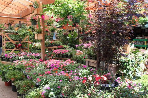 Garden Center «Ladera Garden & Gifts», reviews and photos, 3130 Alpine Rd #380, Portola Valley, CA 94028, USA