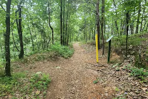 Sawnee Mountainside Trail image