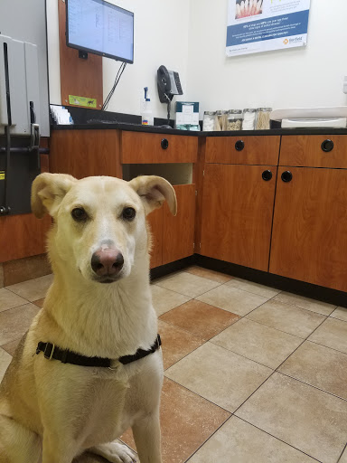 Pet Supply Store «PetSmart», reviews and photos, 13000 Aurora Ave N, Seattle, WA 98133, USA