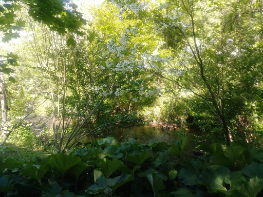 Gift Shop «Stonehedge Gardens», reviews and photos, 51 Dairy Rd, Tamaqua, PA 18252, USA