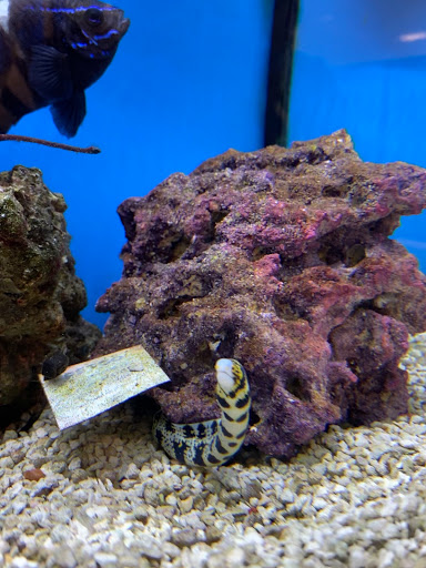 Pet Supply Store «Petco Animal Supplies», reviews and photos, 416 Eisenhower Dr, Hanover, PA 17331, USA