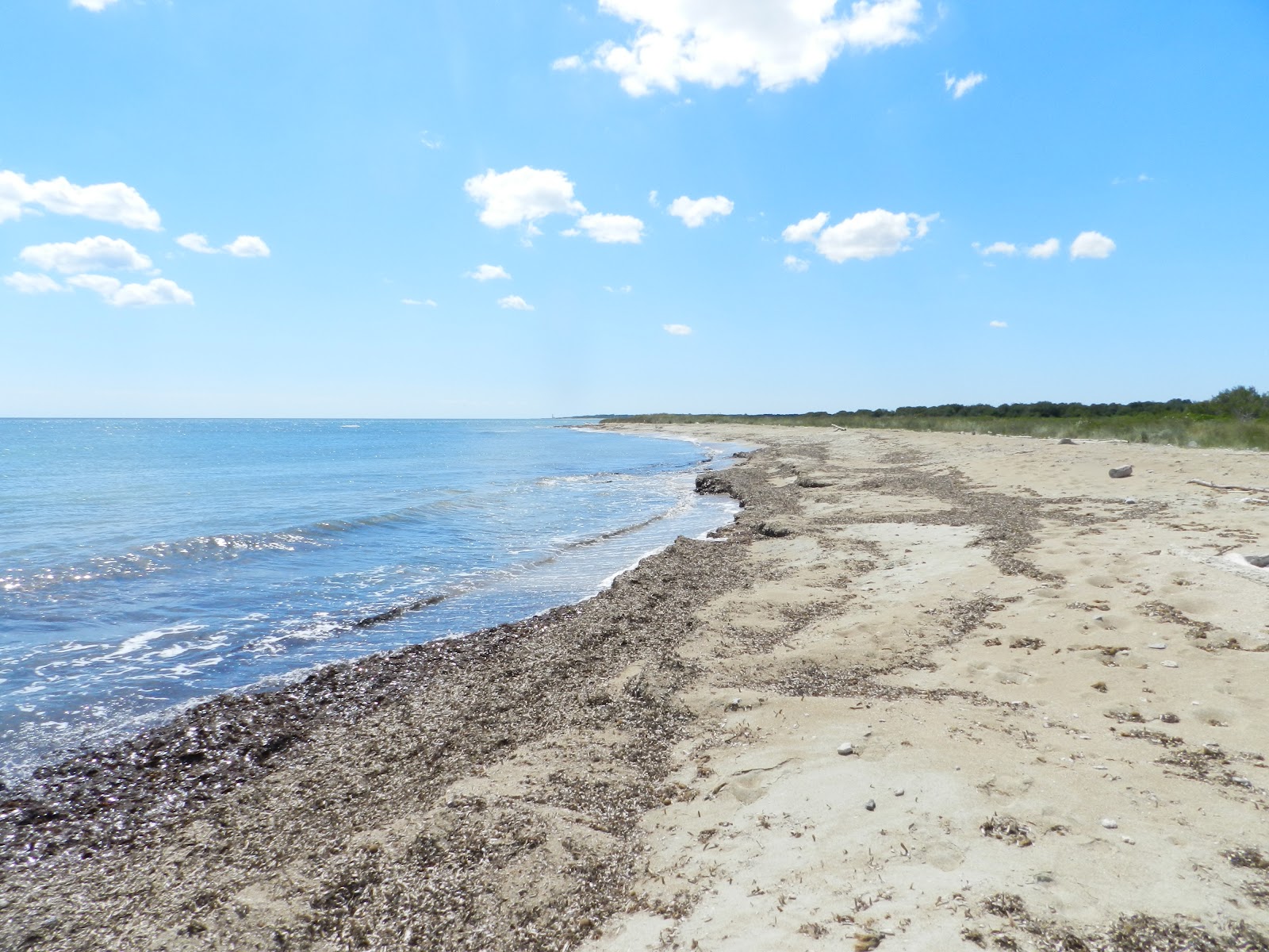 Foto von Veneri beach mit heller sand Oberfläche
