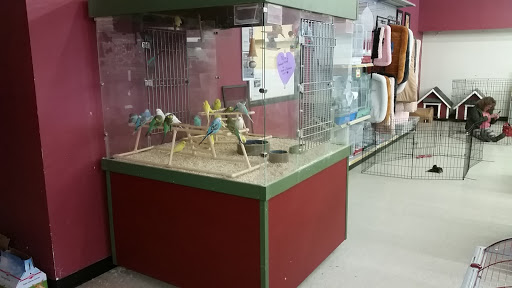 Pet Store «Petland Plano», reviews and photos, 1301 Custer Rd #405, Plano, TX 75075, USA