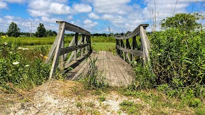 Oak Ridge Prairie & Oak Savannah Trail - photo 24