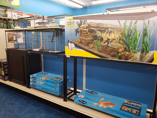 Pet Supply Store «Pet Supermarket», reviews and photos, 1125 Royal Palm Beach Blvd, Royal Palm Beach, FL 33411, USA