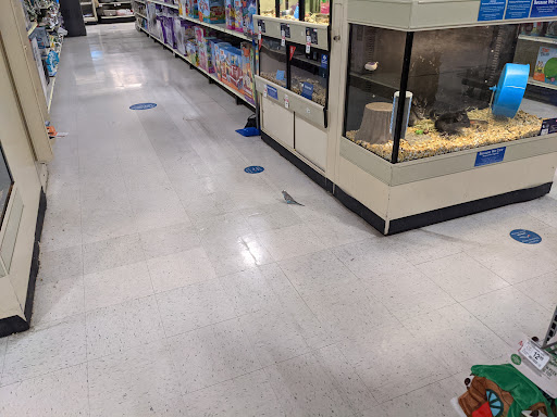 Pet Supply Store «PetSmart», reviews and photos, 79375 CA-111, La Quinta, CA 92253, USA