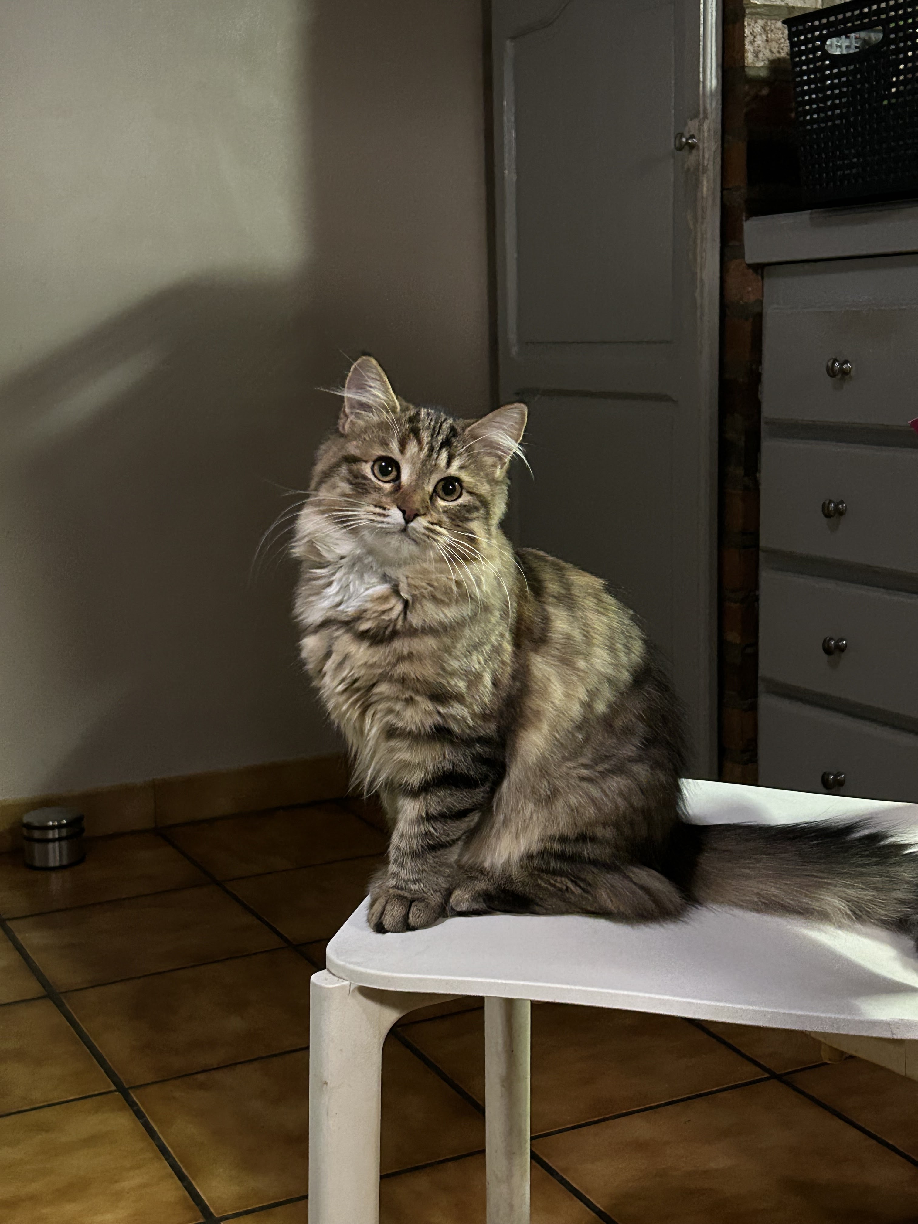 Photo n° 2 de l'avis de etcheberrigaray.a fait le 06/12/2023 à 17:21