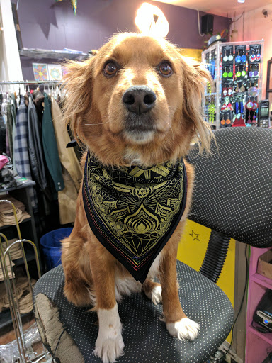 Clothing Store «Funk & Flash», reviews and photos, 228 S Main St, Sebastopol, CA 95472, USA