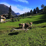 Photo n°1 de l'avis de Emanuele.i fait le 26/10/2019 à 12:31 sur le  Hotel Ristorante Colombo à Caspoggio