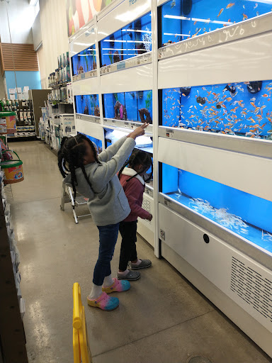 Pet Supply Store «Petco Animal Supplies», reviews and photos, 660 Chestnut Commons Dr, Elyria, OH 44035, USA