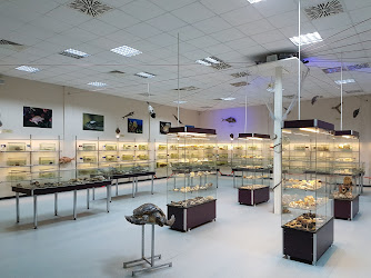 İzmir Kâtip Çelebi Üniversitesi Su Ürünleri Fakültesi Deniz Canlıları Koleksiyon Merkezi