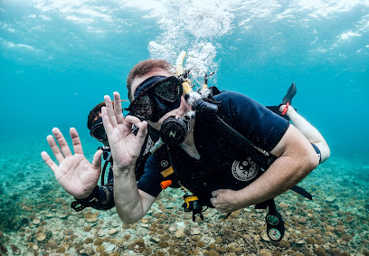 Roctopus | Koh Tao Diving Center