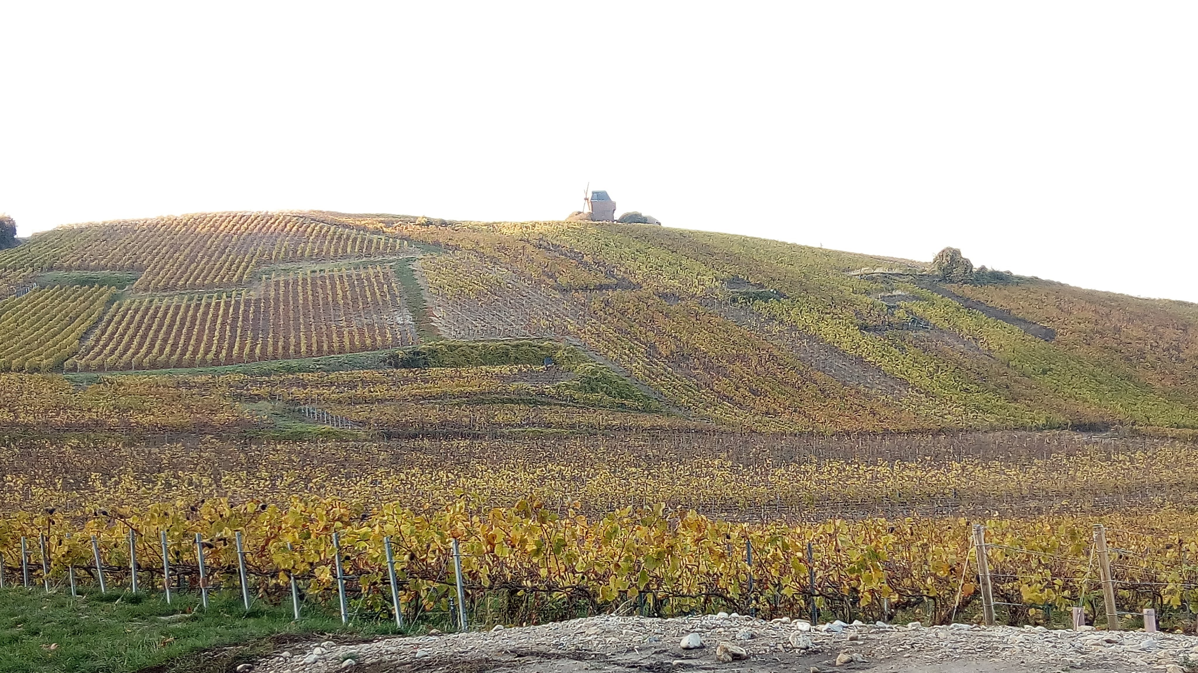 Photo n° 4 de l'avis de Jerome.i fait le 21/01/2019 à 11:52