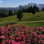Photo n°9 de l'avis de Marco. fait le 04/08/2019 à 15:21 sur le  Hotel Seiser Alm Urthaler à Seis am Schlern