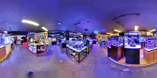 Pet Store «Reeftop Aquariums-Pet Boutique», reviews and photos, 13250 SW 87th Ave, Miami, FL 33176, USA