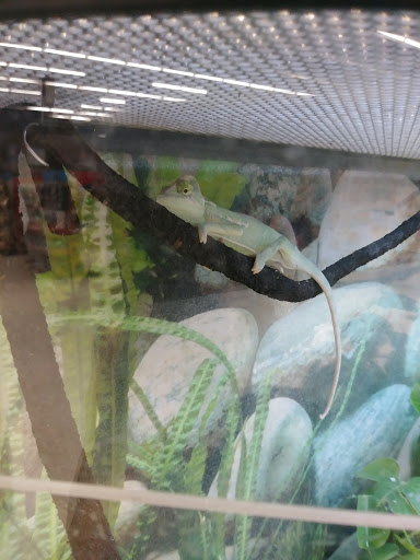 Pet Supply Store «Petco Animal Supplies», reviews and photos, 2575 Fairview Ave N, Roseville, MN 55113, USA