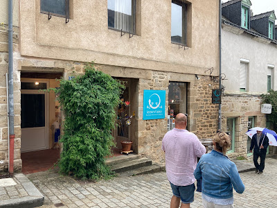 lézard loko à Auray