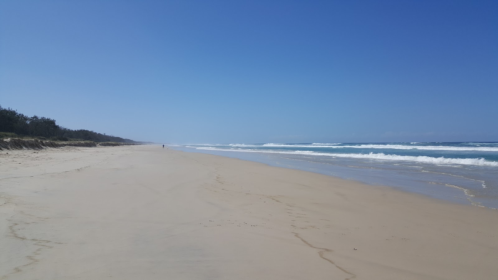 Φωτογραφία του Casuarina Beach παροχές περιοχής