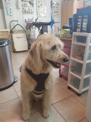 Pet Store «Rainbow Pet Supplies», reviews and photos, 3940 58th St, Woodside, NY 11377, USA