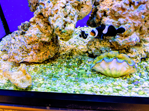 Pet Supply Store «Petco Animal Supplies», reviews and photos, 4491 Kirkwood Hwy, Wilmington, DE 19808, USA