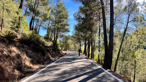 Ebikes rental & Albergue cicloturistas en Molinicos