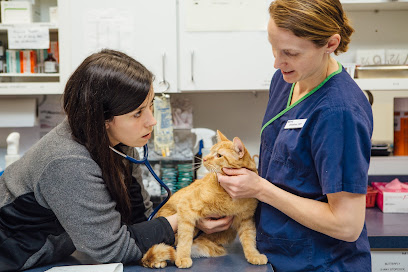 Burlington Emergency & Veterinary Specialists