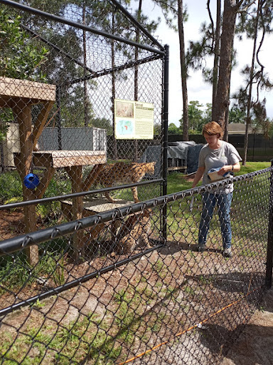 Tourist Attraction «Panther Ridge Conservation Center», reviews and photos, 14755 Palm Beach Point Blvd, Wellington, FL 33414, USA