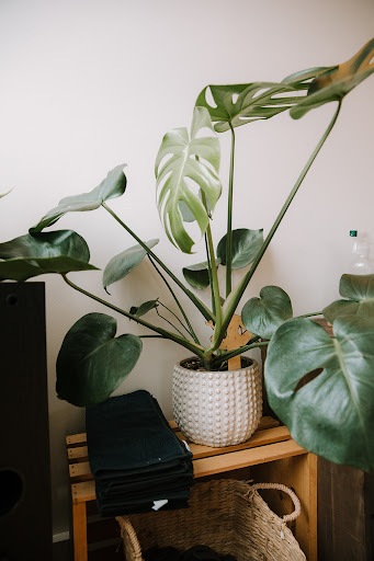 General Store «MOD GEN - A Modern General Store», reviews and photos, 211 N Broadway, Milwaukee, WI 53202, USA