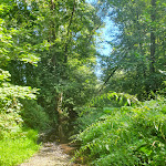 Photo n°1 de l'avis de Eva.. fait le 04/09/2019 à 05:35 sur le  Perleberg Neue Mühle à Perleberg