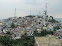 Medium Guayaquil