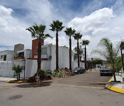 Zemag Terraza-Jardín photo