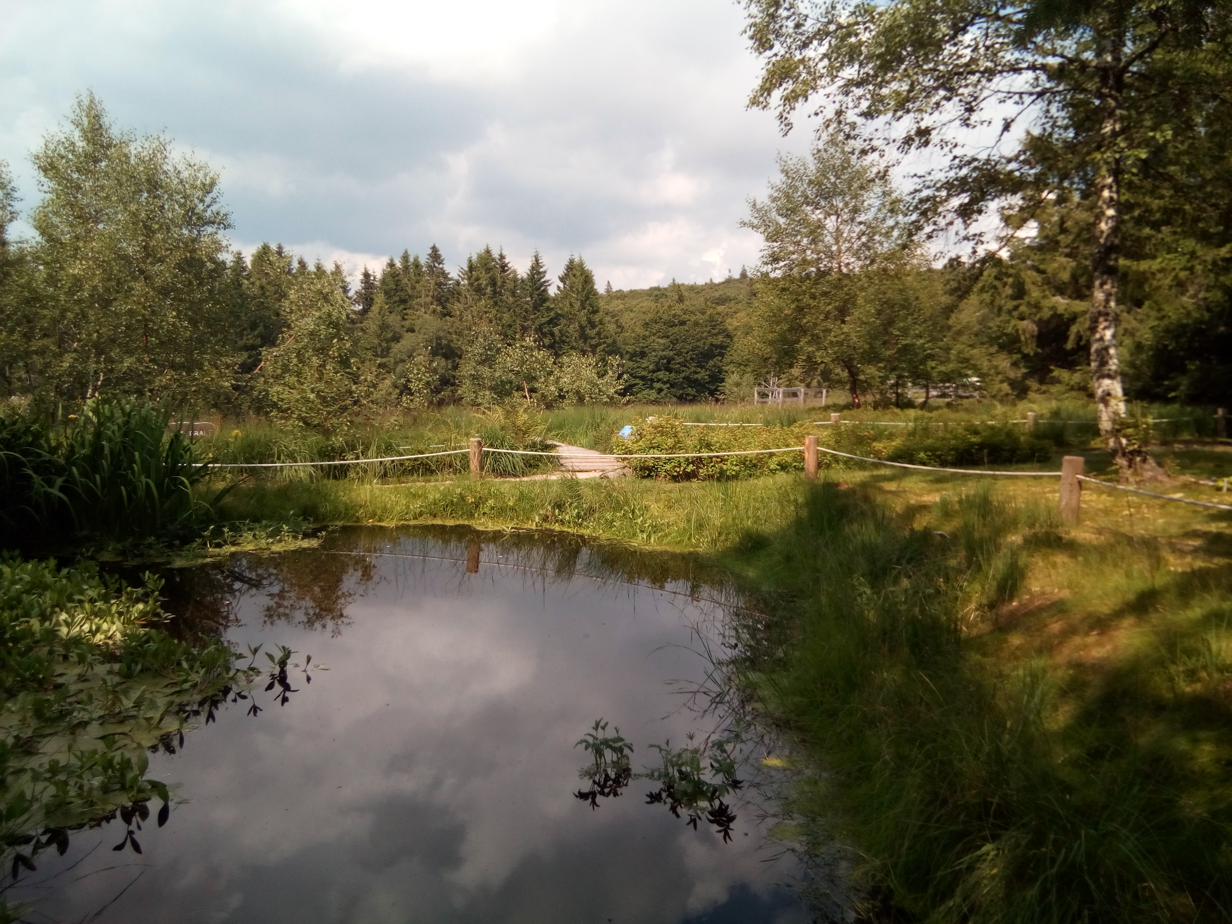 Photo n° 2 de l'avis de Guillaume.e fait le 23/07/2018 à 16:29