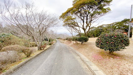 百合ケ岳公園展望台