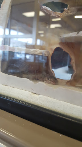 Pet Supply Store «Petco Animal Supplies», reviews and photos, 2255 East Ridge Road, Irondequoit, NY 14622, USA